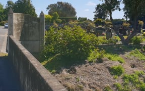 Rabbit burrows can be seen in the cemetery.