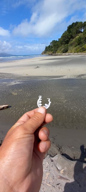 An oesophagus clip found on the beach by Des Watson