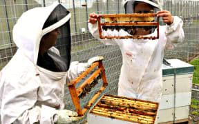ARWCF women prisoners inspect the beehives on-site
