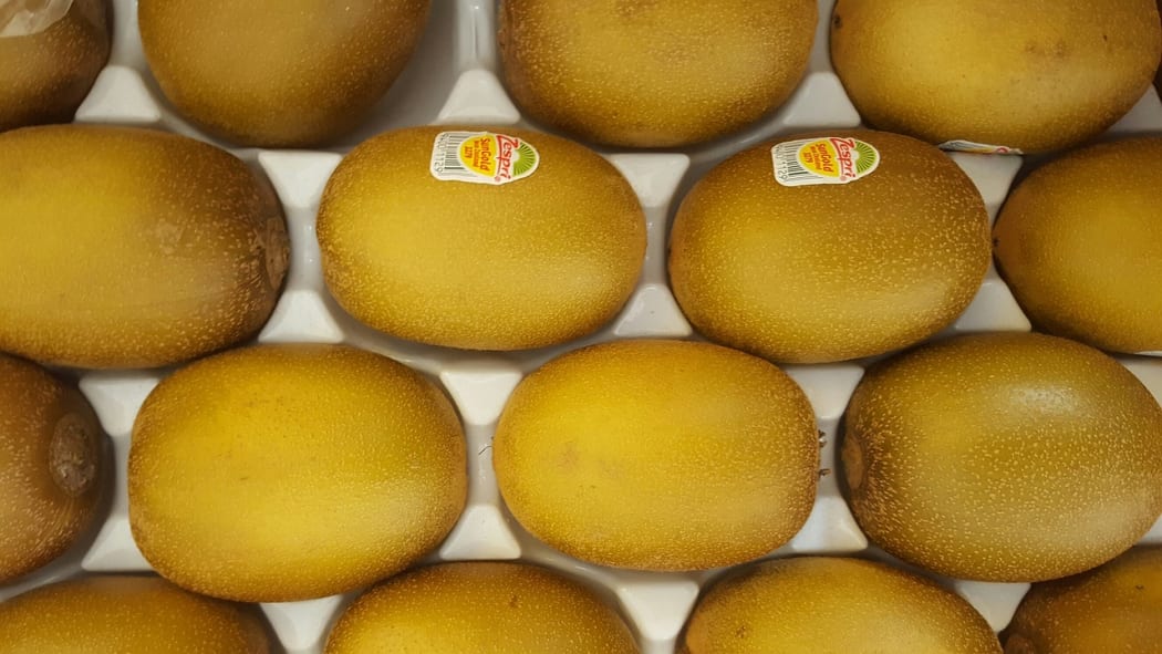 The attack of PSA led to the growth of a new breed of golden Kiwifruit - Zespri Sungold