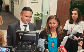 Greens co-leaders James Shaw and Marama Davidson speak to media following their conversations with Labour on the future makeup on the government.