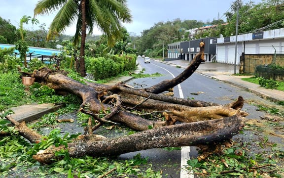A road blocked by the uprooted trees after Cyclone Judy made landfall in Port Vila, Vanuatu on March 1, 2023.