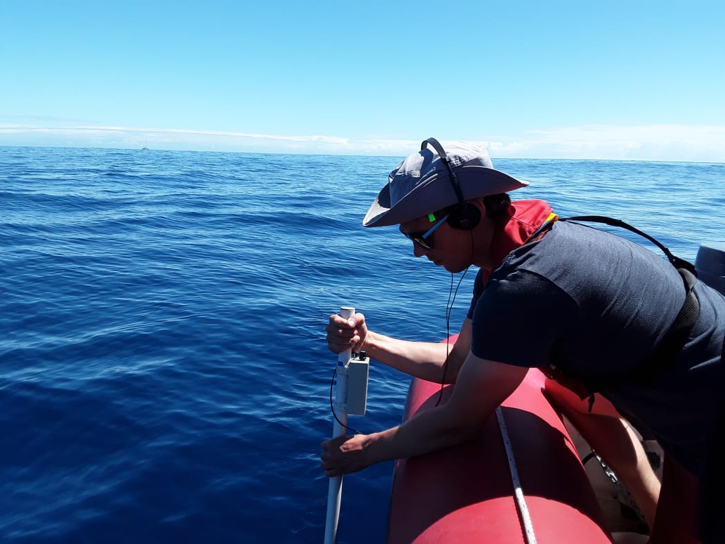 Using a directional hydrophone to listen for marine mammals and locate them