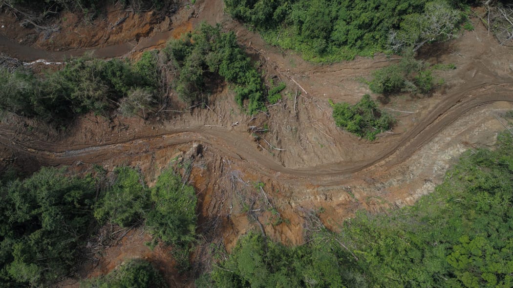 Ministry director defends logging in Solomon Islands | RNZ