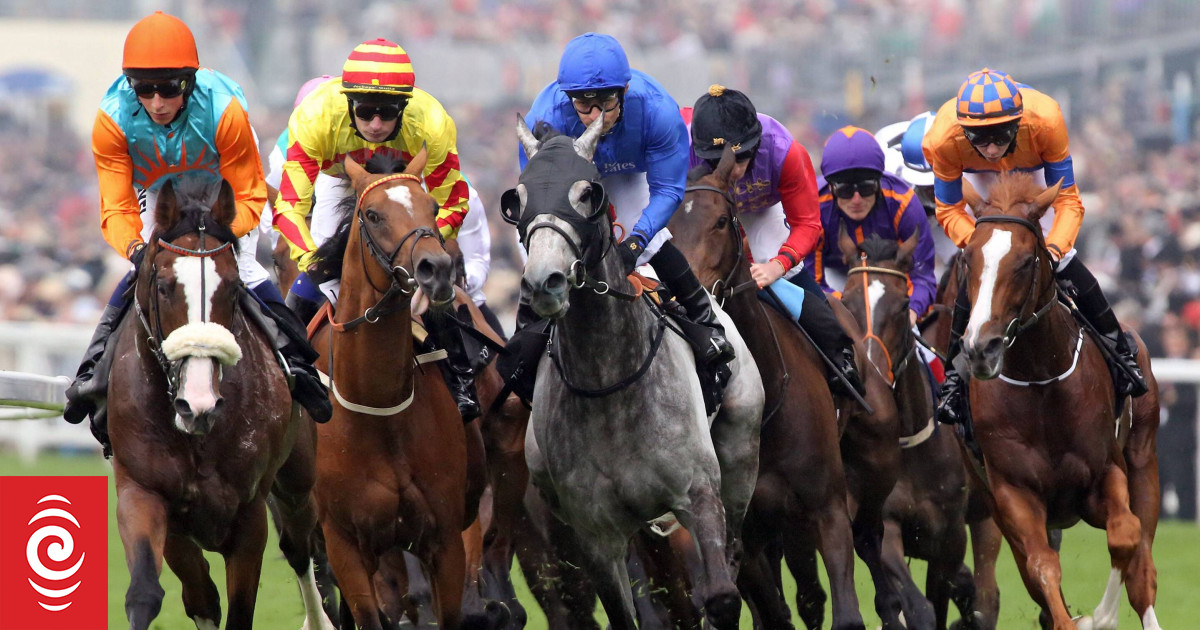 No fault of jockeys in Australian deaths RNZ News