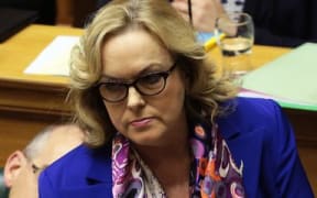National MP Judith Collins during question time at the debating chamber, Parliament.