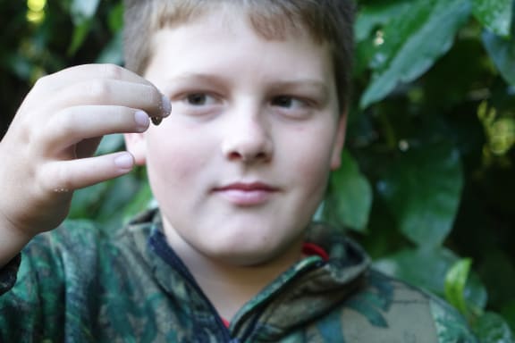Lepperton School pupil Monte Woodward, 9, with a mealworm he’d brought to feed to the robins.