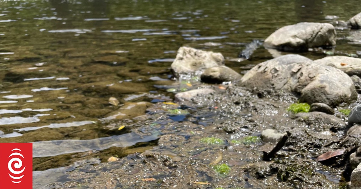 Red alert warnings over toxic algae blooms at Wellington rivers - Vimarsana News