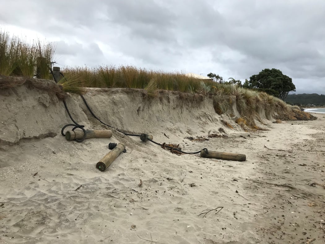 Erosion at Cooks Beach in Coromandel
