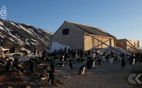 Hidden treasure found amongst Antarctica penguin poo