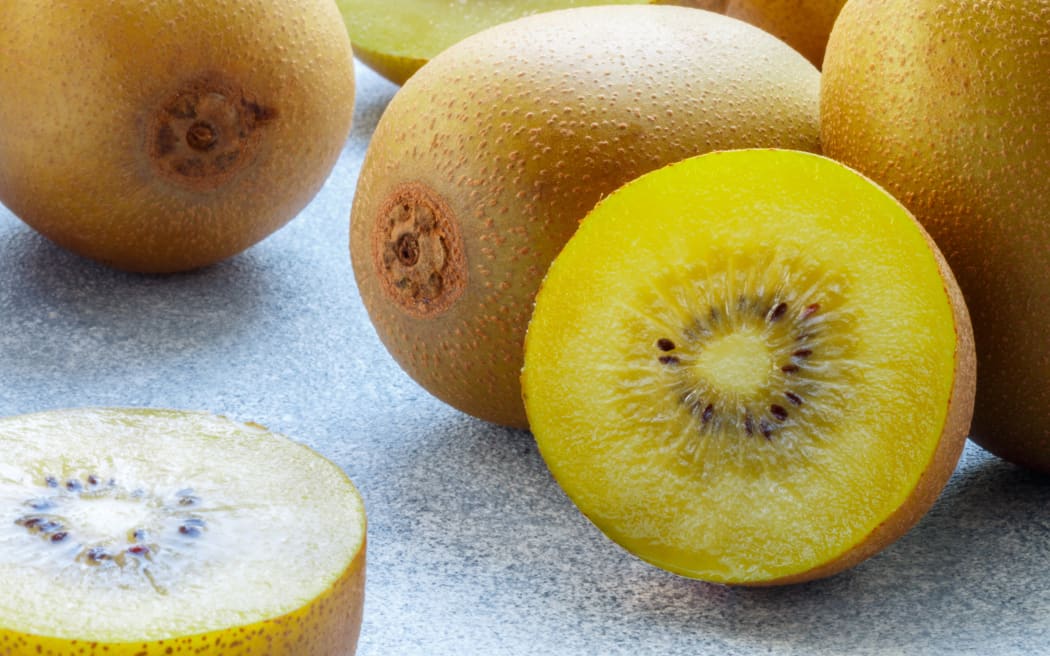 A stock photo of gold kiwifruit.