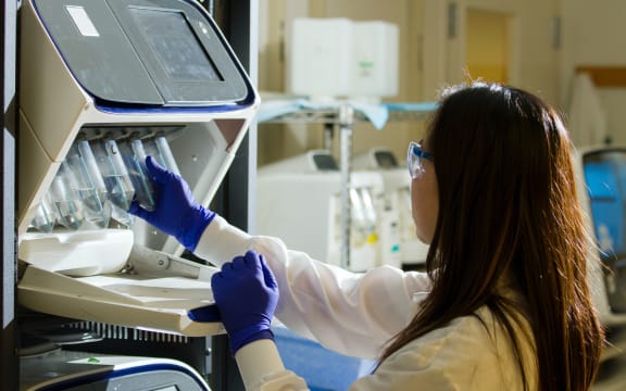 Technician prepares for a viral whole-genome sequencing experiment at the Cancer Genomics Research Laboratory.