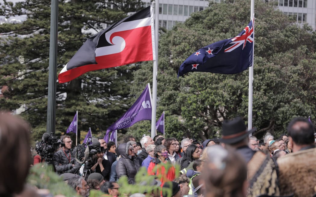 Crowds gathered outside Parliament in Wellington 