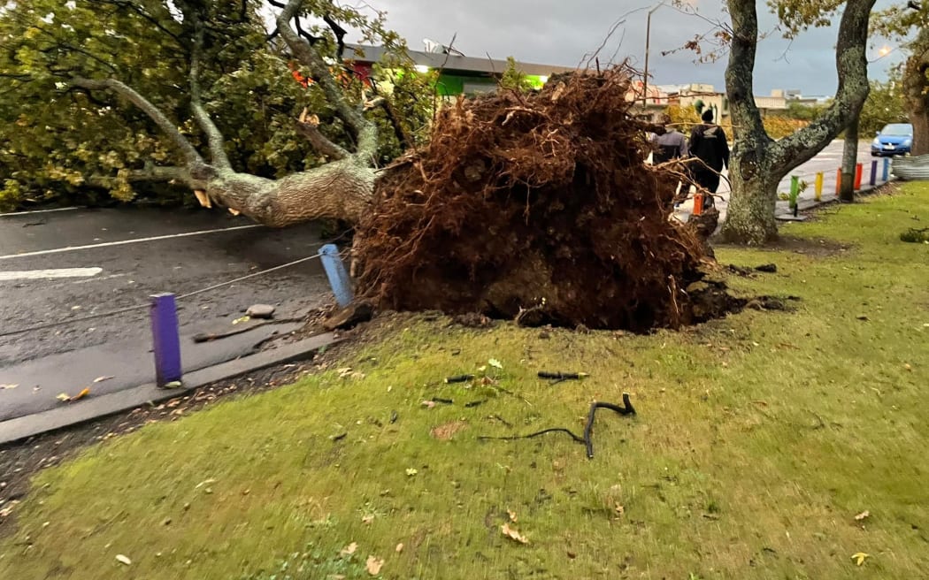 Damage in Levin after a tornado hit