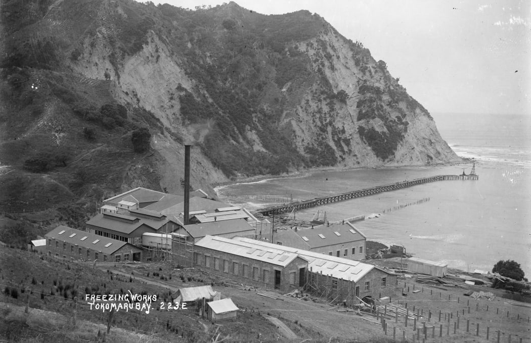 A photo taken by William Archer Price sometime between 1910 and 1930, shows the Tokomaru Sheepfarmers' Freezing Company Ltd works at Waimā, on the northern end of Tokomaru Bay. Koutunui Point and the Tokomaru Bay Wharf are also visible.