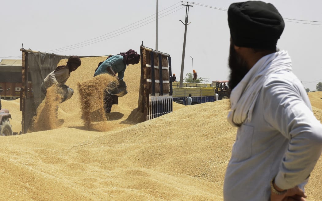 Workers unload wheat from a trailer at a wholesale grain market on the outskirts of Amritsar on 16 April 2022.