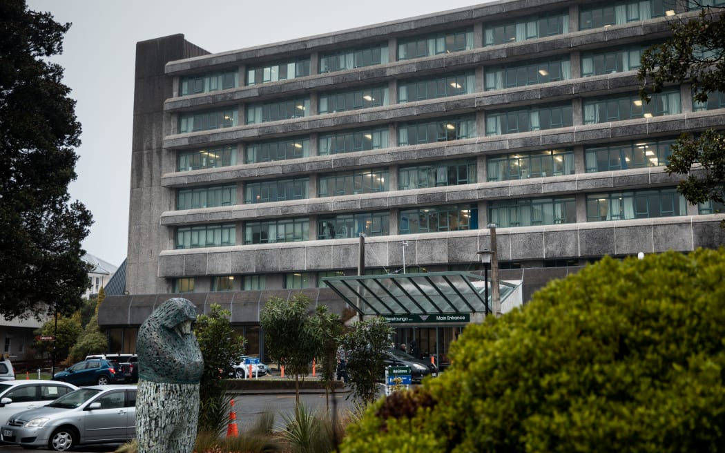 Hutt Hospital - Heretaunga Block