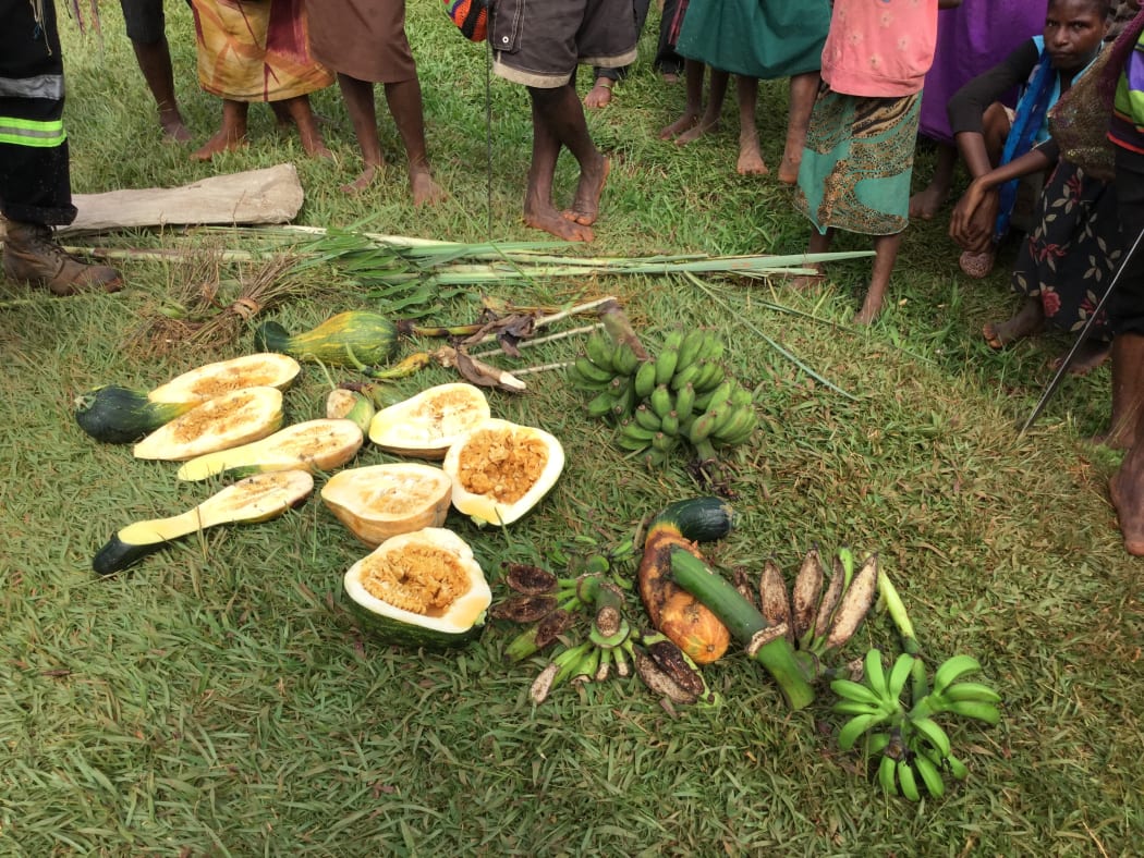 Villagers starve as PNG drought relief stalls RNZ News