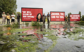 Billboards put up by Greenpeace at the Selwyn River in Canterbury.