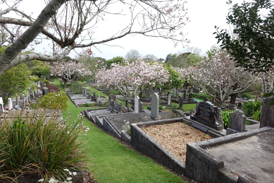 The volunteers' efforts are noticable across Te Henui Cemetery where flowers are in bloom, creating a beautiful landscape