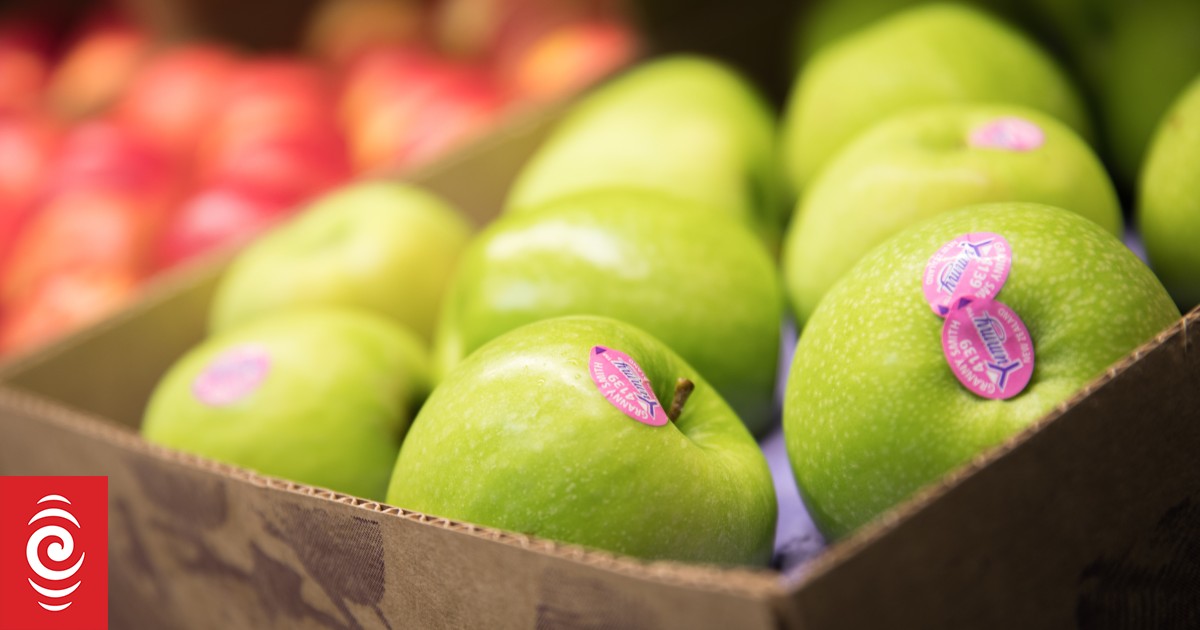 Supermarkets warn fruit and veg could be in short supply RNZ