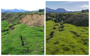 Contrast between land in 2017 and 2020 on farm belonging to Henry and Olivia Pinckney in North Canterbury