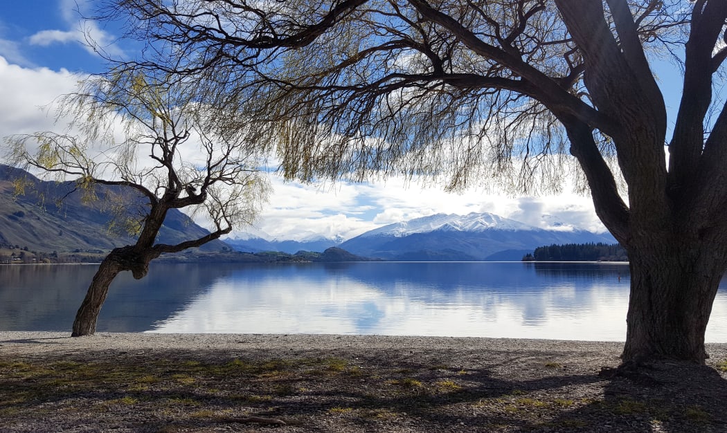 Family stunned over no consent for proposed $20m Wanaka mansion
