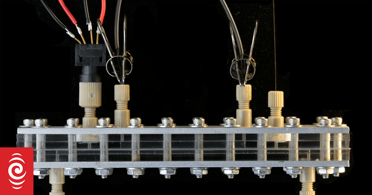A tree on a chip powering robots of the future RNZ