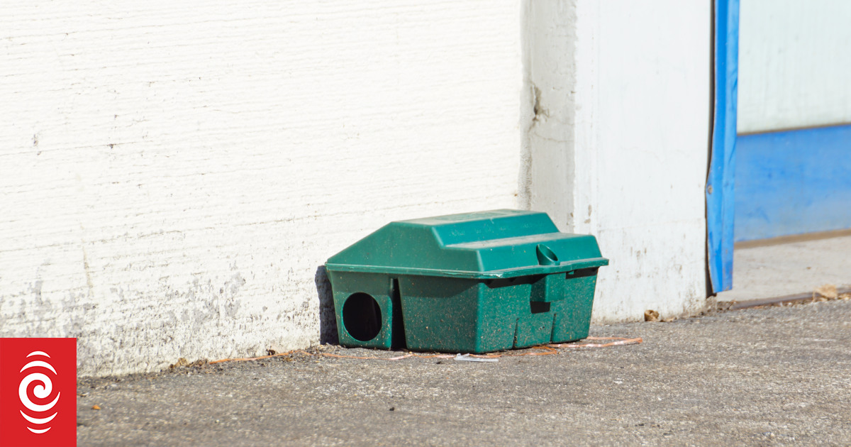 Massey University staff told to clear buildings' rat traps - Vimarsana News