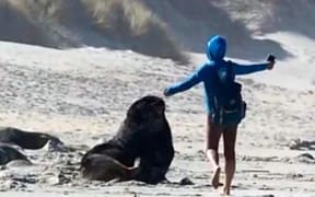 A woman dances in front of the marine mammal at Sandfly Bay before it lunges at her.