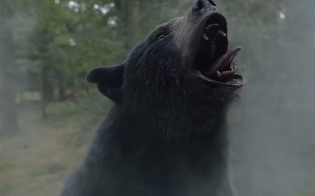 The Bear' Imagines a Restaurant World Without the Horror Stories