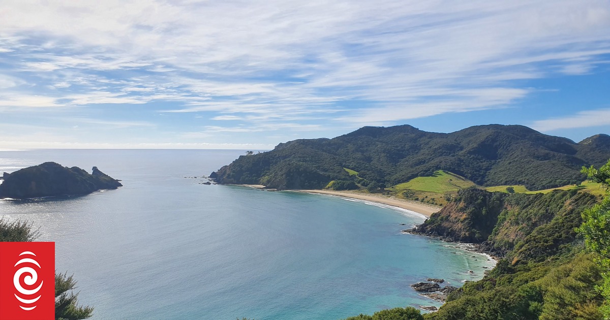 Aotea / Great Barrier Island sand dune collapse a 'terrible freak accident', principal says - Vimarsana News