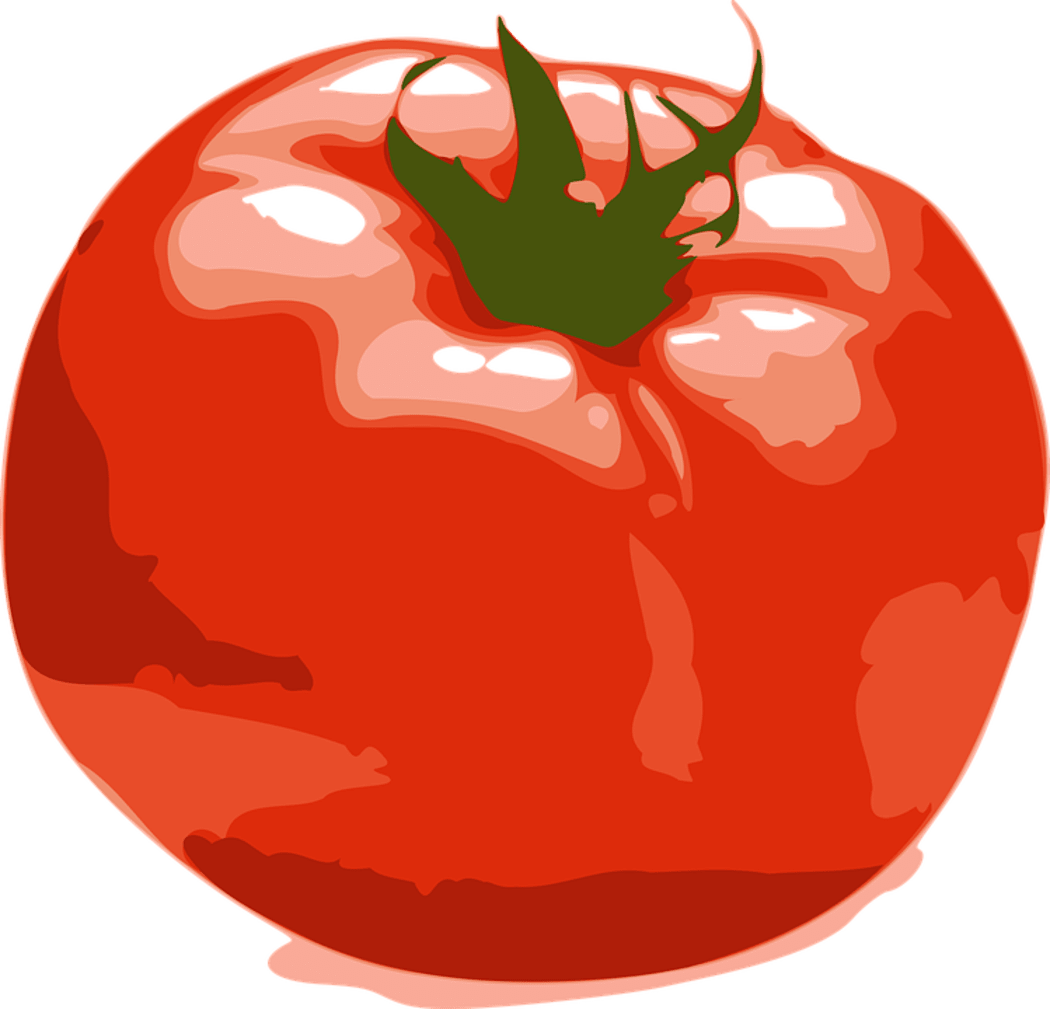 'There are a lot of things going wrong with tomatoes at the moment'. A research team is trying to end the great tomato debate; To refrigerate or not to refrigerate?
