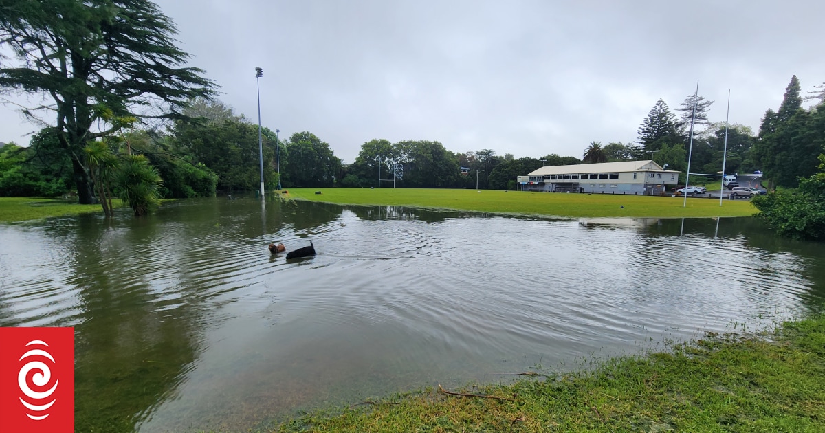 Auckland floods: More rain on the way as clean-up begins