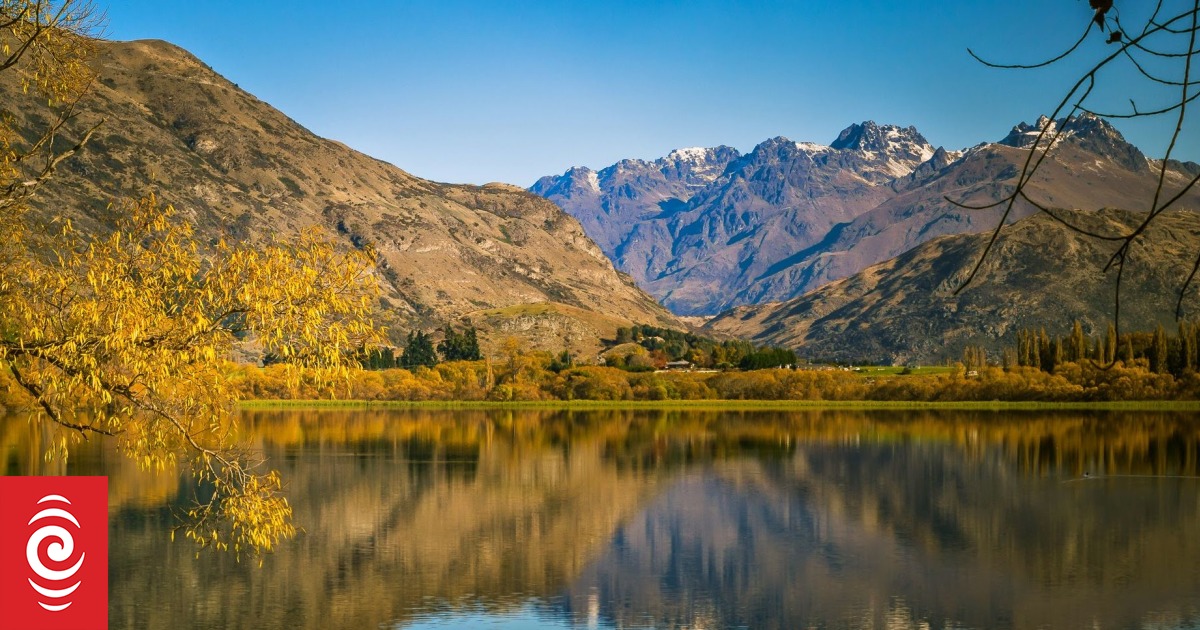 The 10 most expensive streets in New Zealand revealed RNZ News