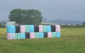 Multi coloured silage bales