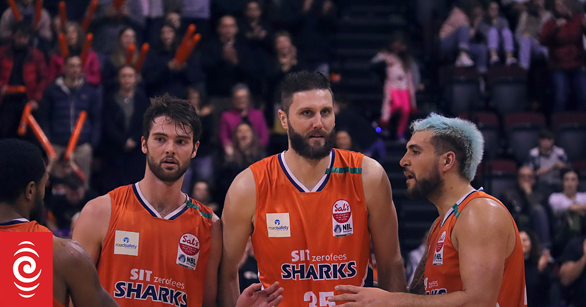 Alex Pledger returns to the basketball court - Vimarsana News