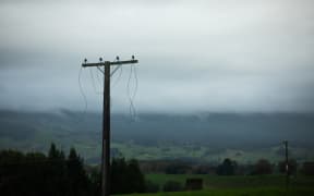 Cut off power lines just outside Otorohanga