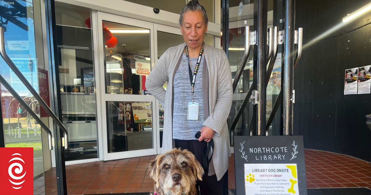 'Library rooficer': Dog captures hearts of many library goers - Vimarsana News