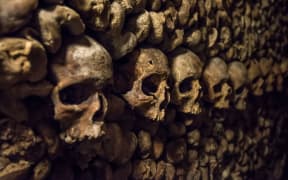 Skulls and bones in the Paris catacombs