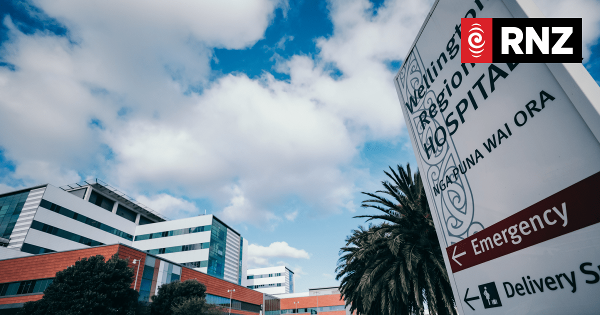 No warnings of IT outage that cancelled treatments at Wellington, Wairarapa hospitals - Vimarsana News