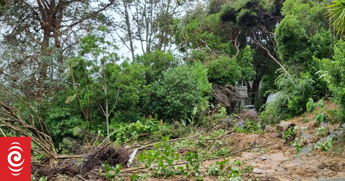 Cyclone Gabrielle Muriwai community grieves firefighter killed in slip