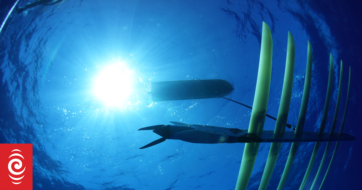 Pitcairn drone tests could shape future of conservation RNZ News
