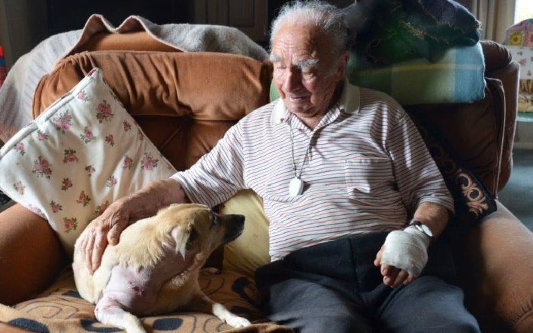 Sympathy for mauled dog shrinks vet bill | RNZ News
