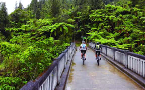 A section of the Mountains to Sea cycle trail, which runs from Mt Ruapehu to Whanganui.