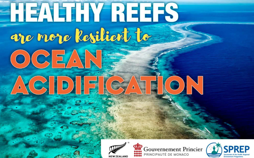 Sprep's healthy reefs project