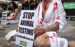 Activists protest animal testing in Spain.