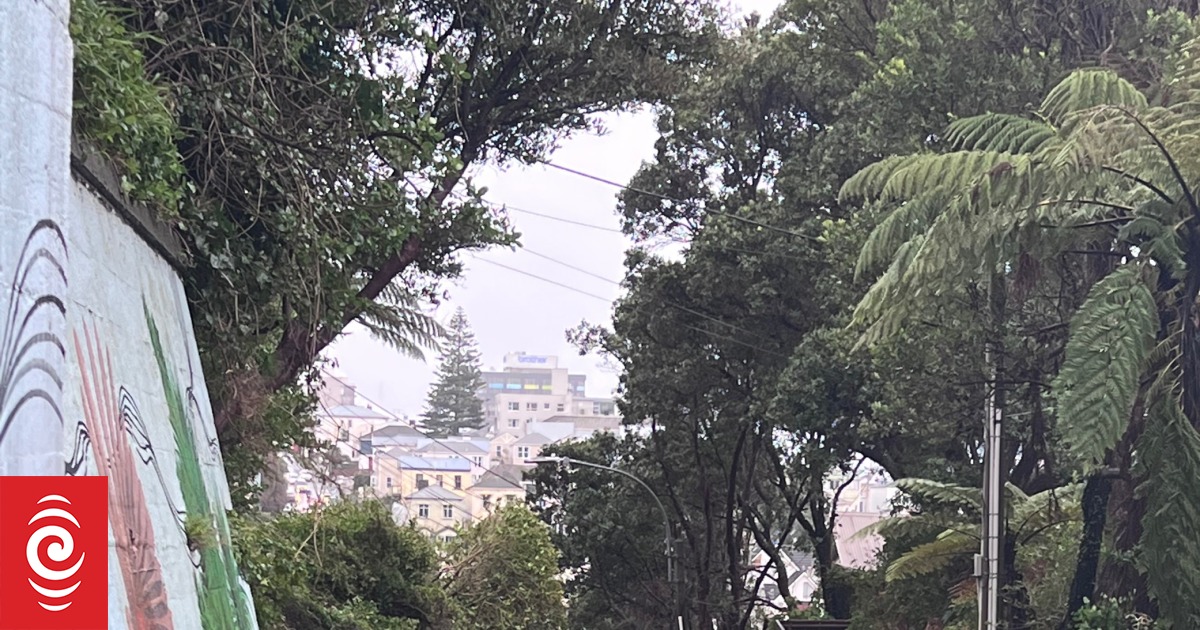 Wellington’s The Terrace blocked again by another slip