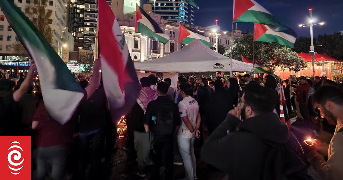 Palestinian ambassador wants New Zealand to 'play a leadership role' and ask for immediate ceasefire in Gaza - Vimarsana News