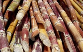cut sugar cane 2006